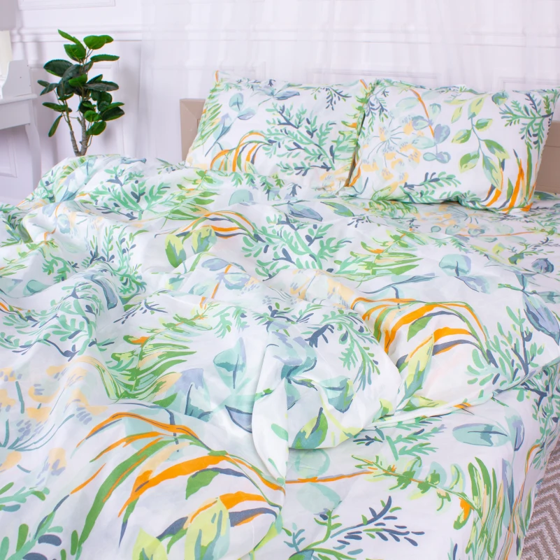 Комплект постельного белья Микрофибра принт 15-0315 Robbie - 4