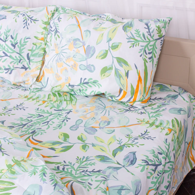 Комплект постельного белья Микрофибра принт 15-0315 Robbie - 5