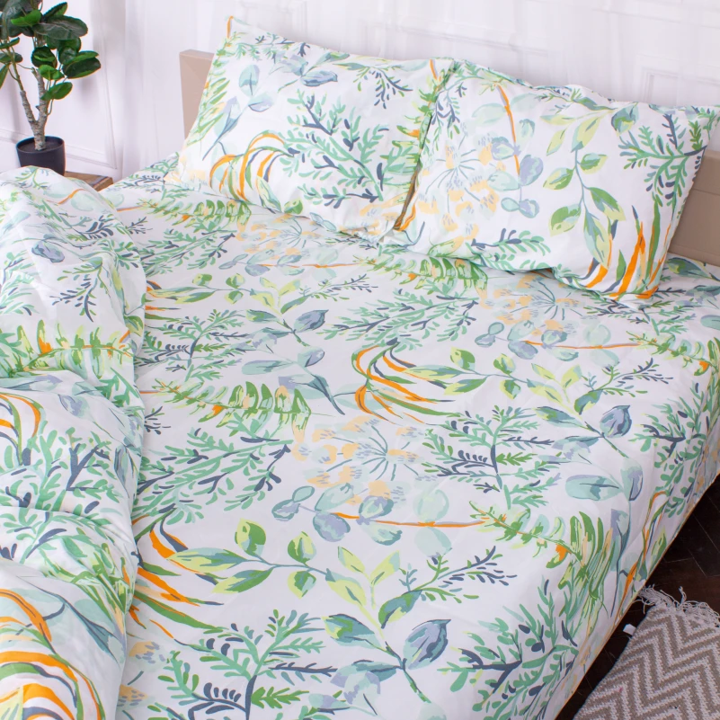 Комплект постельного белья Микрофибра принт 15-0315 Robbie - 6