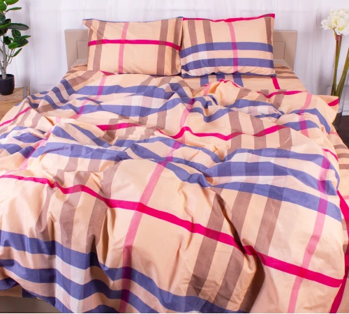 Комплект постельного белья Микрофибра принт 15-0332 Hermione