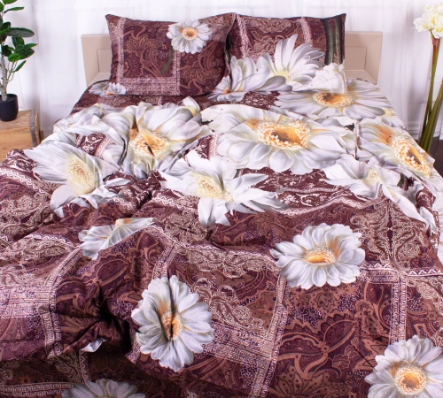 Комплект постельного белья Микрофибра принт 15-0195 Foggia