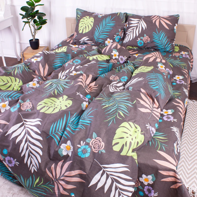 Комплект постельного белья Микрофибра принт 15-0327 Karissa - 1