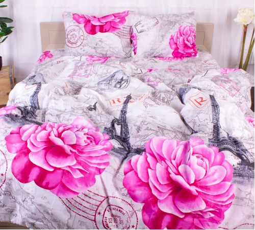 Комплект постельного белья Микрофибра принт 15-0317 Oswin