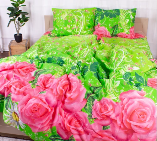 Комплект постельного белья Микрофибра принт 15-0323 Louisa - 2