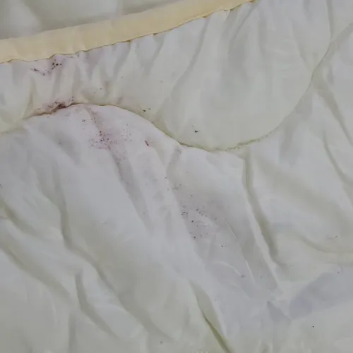 Ковдра антиалергенна Всесезонна №1632 Eco Light Creamy Супер Тепле (EcoSilk) УЦІНКА - 2