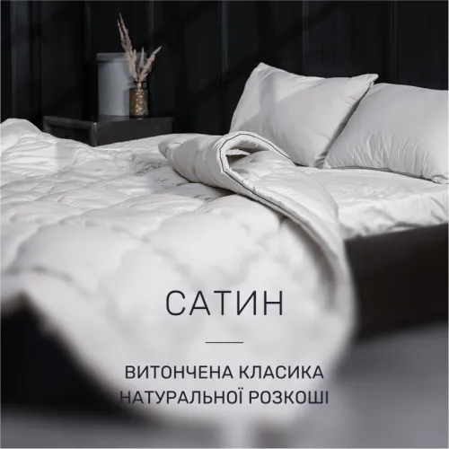 Ковдра антиалергенна Silver Cloud №1004 EcoSilk сатин - 3