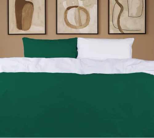 Наволочка Бязь Green Diego (11-2107+18-0130) - 2