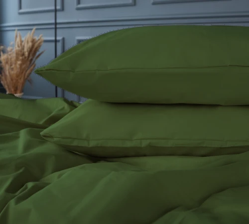 Підковдра Бязь 18-0130 Carolina