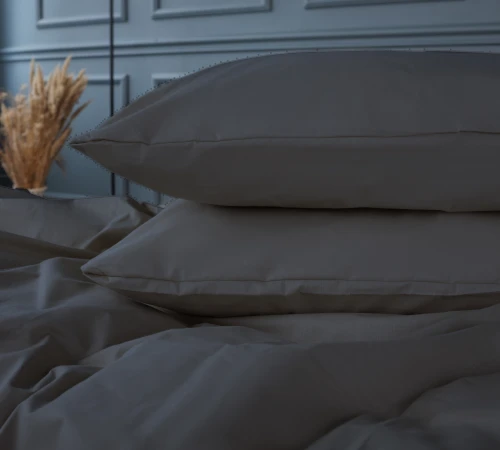 Білизна постільна Бязь 16-5803 Geronimo