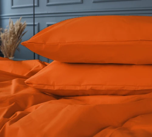 Підковдра Бязь 16-1364 Palermo