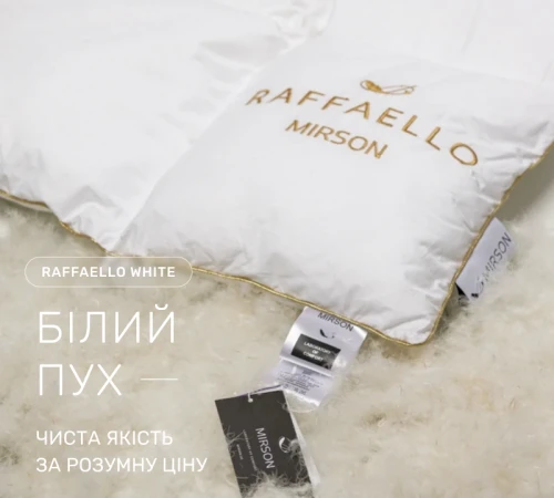 Ковдра пухова касетна Raffaello White №063 90% білий пух Standart / 10% перо тик Premium - 2