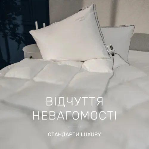 Одеяло пуховое кассетное Luxury Exclusive №080 100% пух Luxury class Tик Luxury  - 2