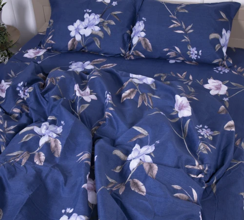 Комплект постельного белья Микрофибра принт 15-0267 William