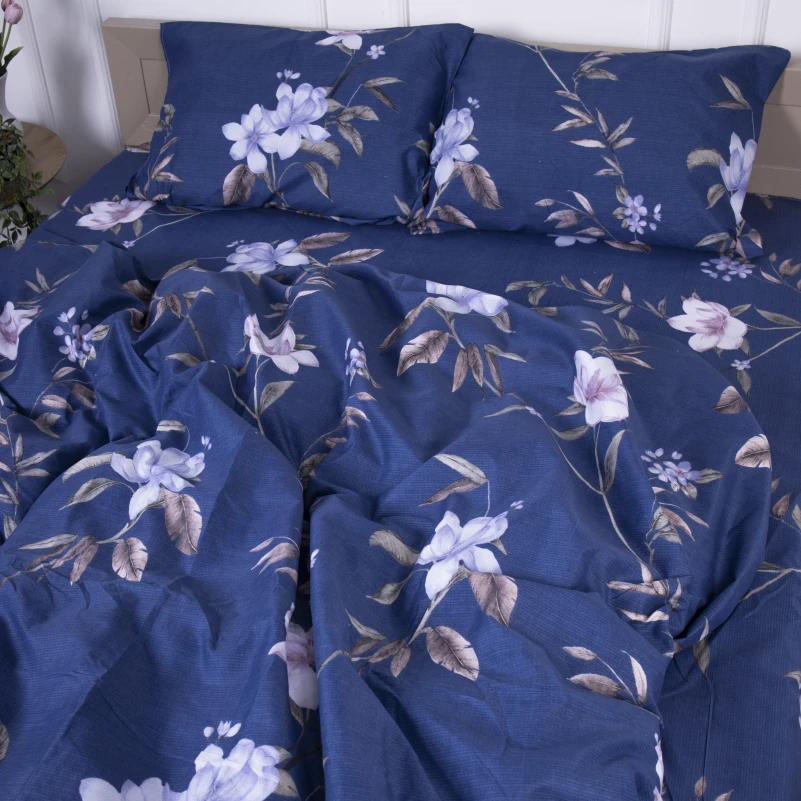 Комплект постельного белья Микрофибра принт 15-0267 William