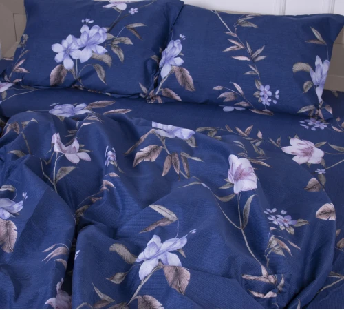 Комплект постельного белья Микрофибра принт 15-0267 William - 2