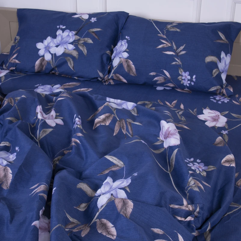 Комплект постельного белья Микрофибра принт 15-0267 William - 1