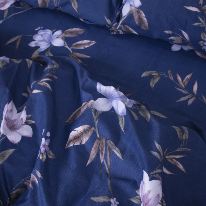 Комплект постельного белья Микрофибра принт 15-0267 William - 2