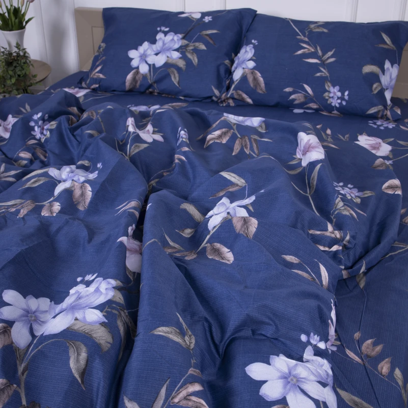 Комплект постельного белья Микрофибра принт 15-0267 William - 3