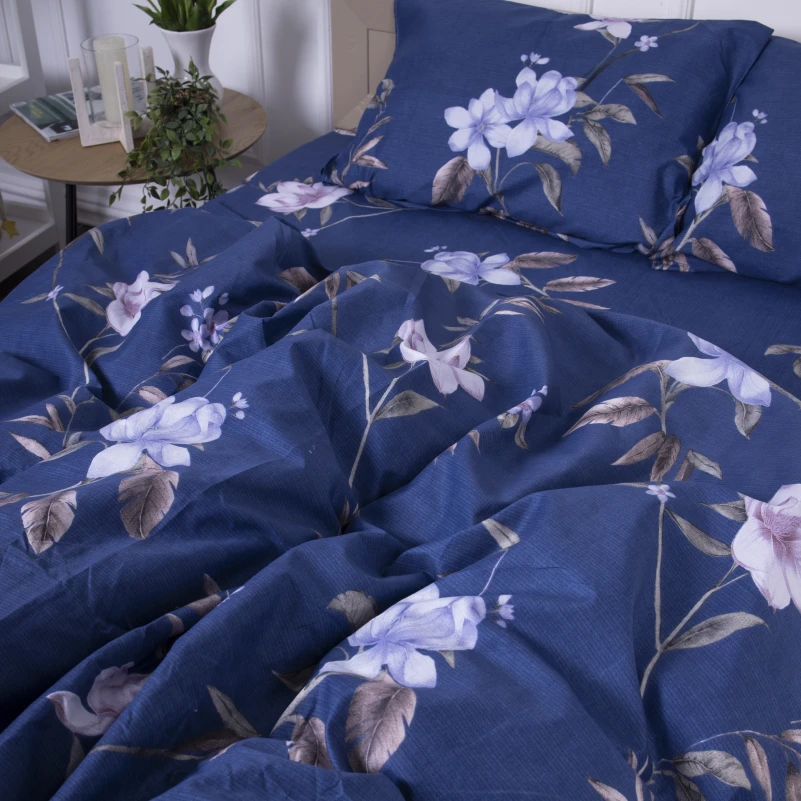 Комплект постельного белья Микрофибра принт 15-0267 William - 7