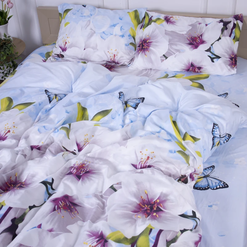 Комплект постельного белья Микрофибра принт 15-0178 Limoges