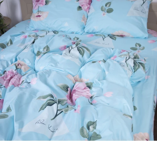 Комплект постельного белья Микрофибра принт 15-0620 Foggia