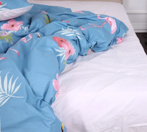 Простынь Ranforce Elite Rolando №96INT -1