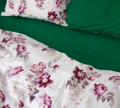 Підковдра Бязь 17-0062 Romana - 2