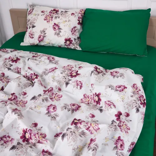 Комплект постельного белья Бязь 17-0062 Romana