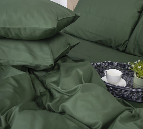 Комплект постільної білизни Сатин "0844 Green Olive"