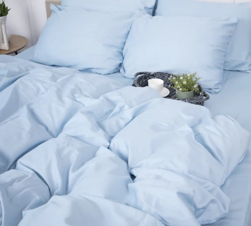 Комплект постільної білизни Сатин "0842 Light Blue" - 2