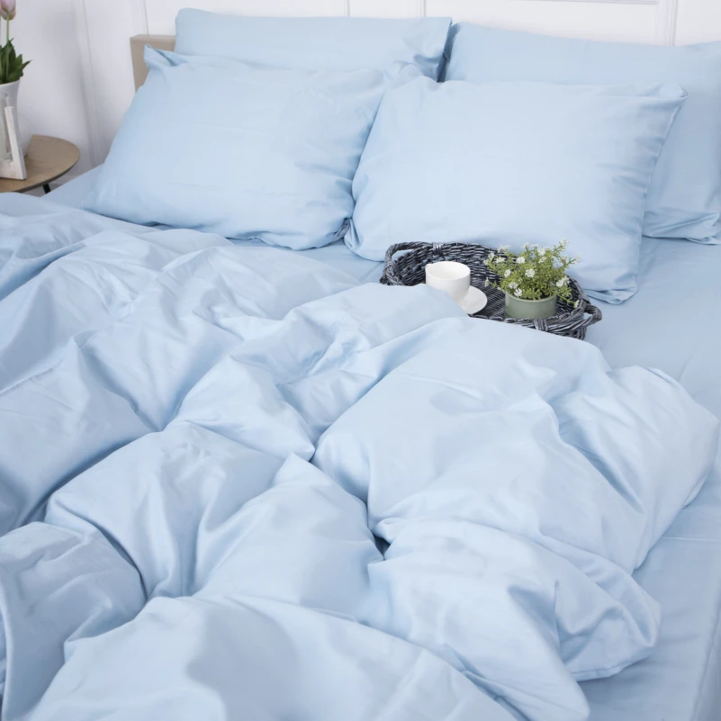 Комплект постельного белья Сатин "0842 Light Blue" - 1