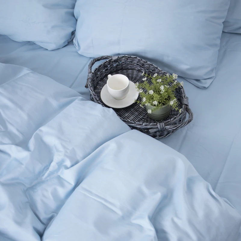 Комплект постельного белья Сатин "0842 Light Blue" - 2