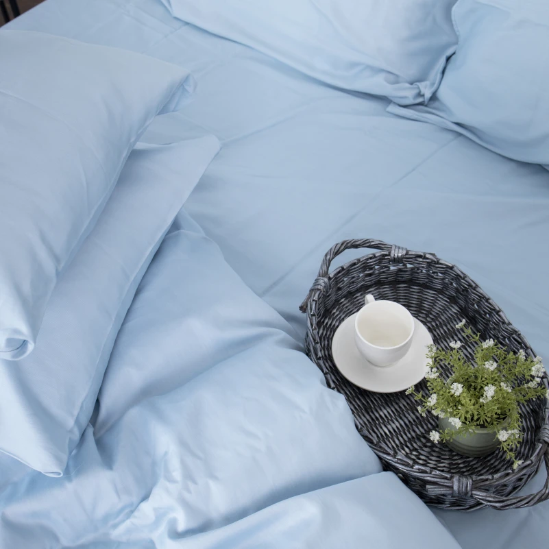 Комплект постельного белья Сатин "0842 Light Blue" - 8