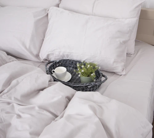 Комплект постельного белья Сатин "0841 Powder" - 2