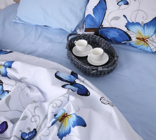 Простирадло Ranforce Elite 17-0389 Blackburn - 2