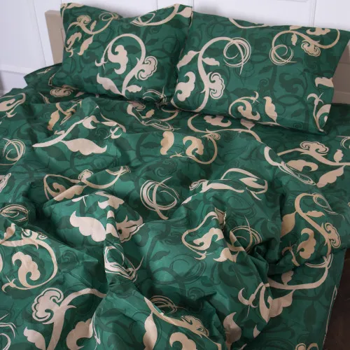  Комплект постільної білизни Мікрофібра принт 15-0361-1 Apollo - 2