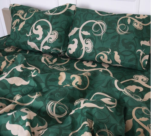 Комплект постельного белья 100% полиэстер 15-0361-1 Apollo - 2