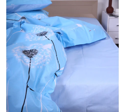 Простирадло Ranforce Elite 17-0390 Blackpool