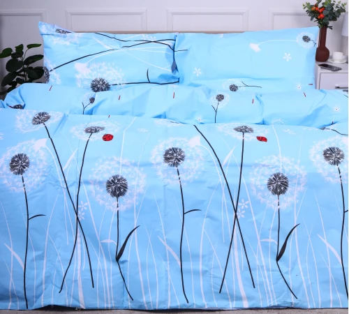 Комплект постельного белья Ranforce Elite 17-0390 Blackpool