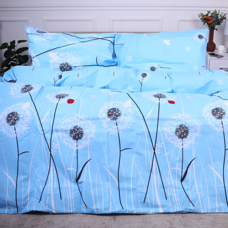 Комплект постельного белья Ranforce Elite 17-0390 Blackpool