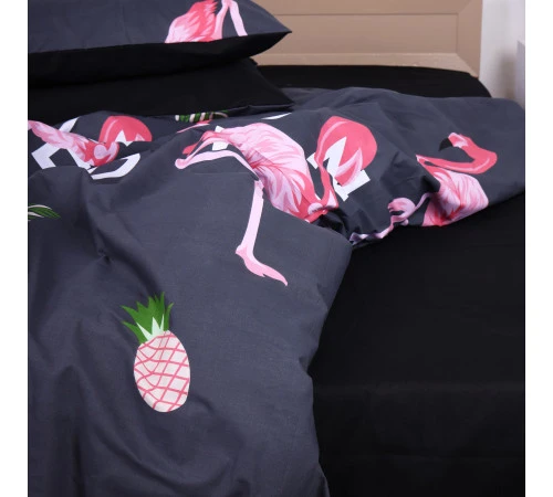 Простирадло Ranforce Elite 17-0025 -1 Abelardo