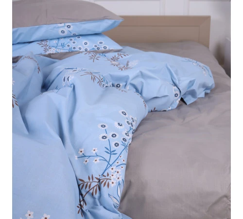 Простирадло Ranforce Elite 17-0288 Tbilisi