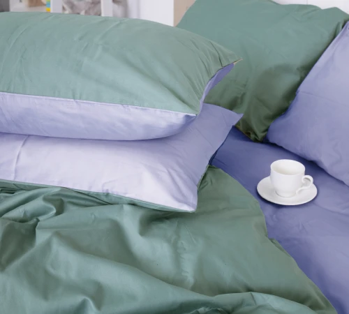 Комплект постельного белья Сатин 0844 + 0843 Edward