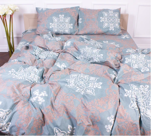 Комплект постельного белья Микрофибра принт 15-0263 Robert