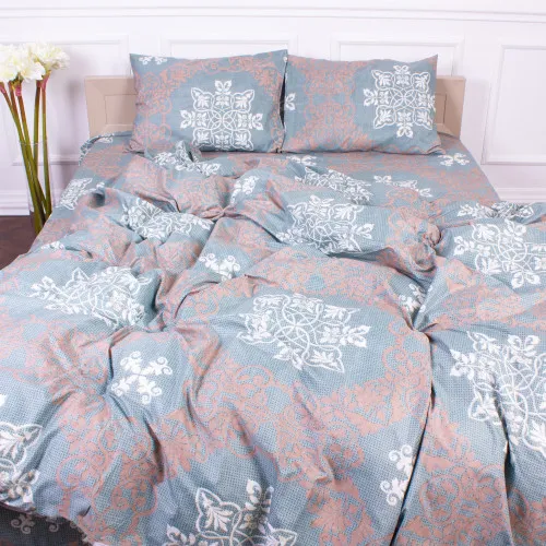 Комплект постільної білизни Мікрофібра принт 15-0263 Robert 