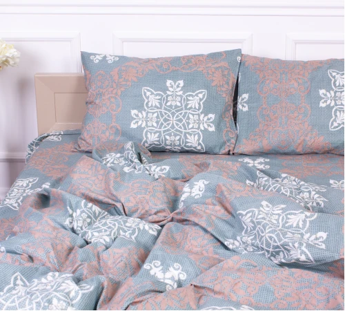 Комплект постельного белья Микрофибра принт 15-0263 Robert - 2