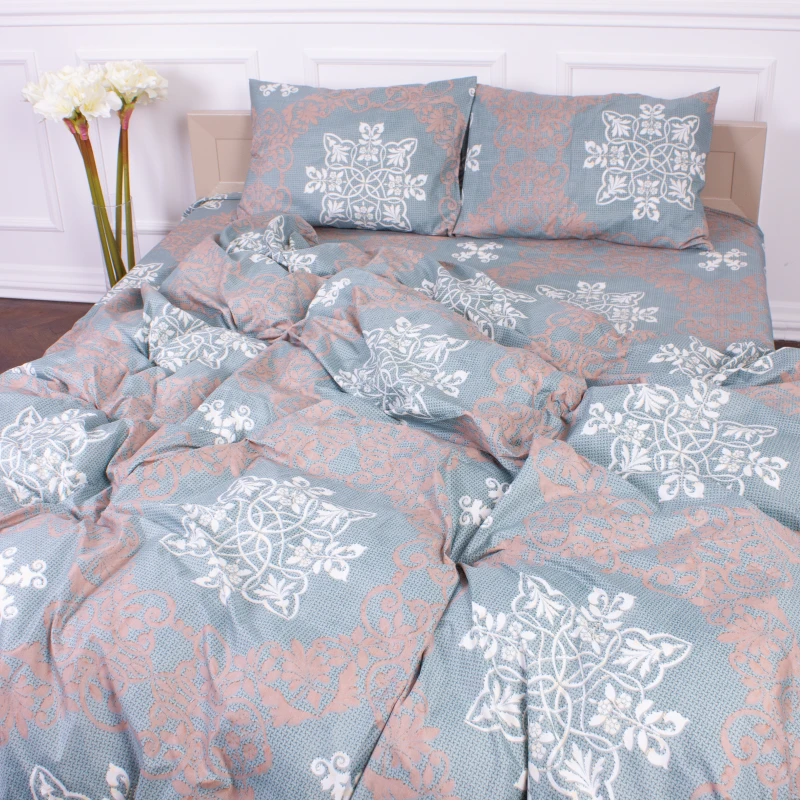 Комплект постельного белья Микрофибра принт 15-0263 Robert  - 2