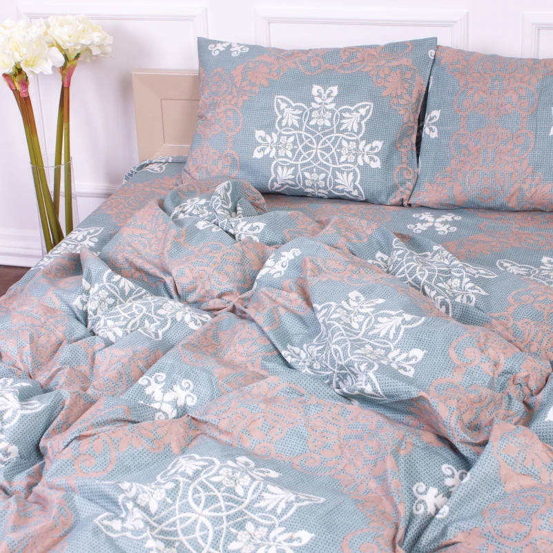 Комплект постельного белья Микрофибра принт 15-0263 Robert  - 4