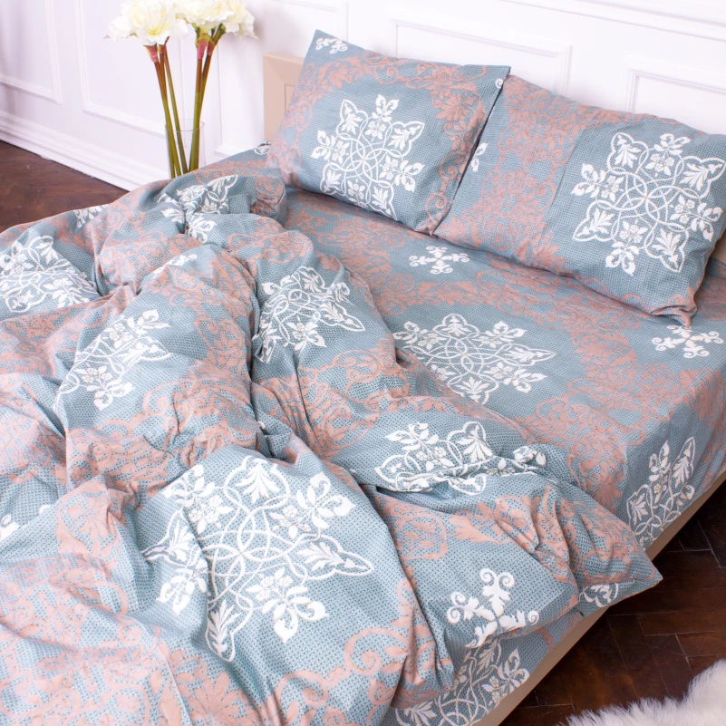 Комплект постельного белья Микрофибра принт 15-0263 Robert  - 5