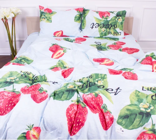 Комплект постельного белья Микрофибра принт 15-0604 Life is sweet